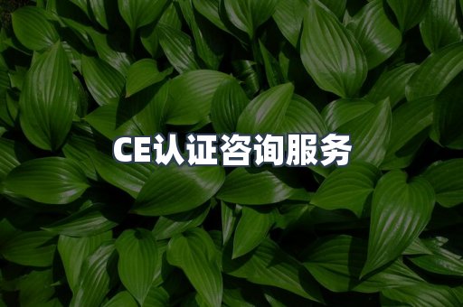 口罩防护类CE认证