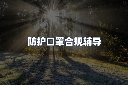 防护口罩合规辅导