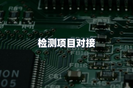 检测项目对接